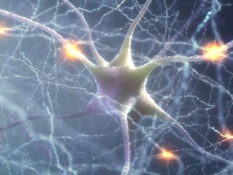 Understanding Synaptic Plasticity in Addiction Treatment Understanding Synaptic Plasticity in Addiction Treatment